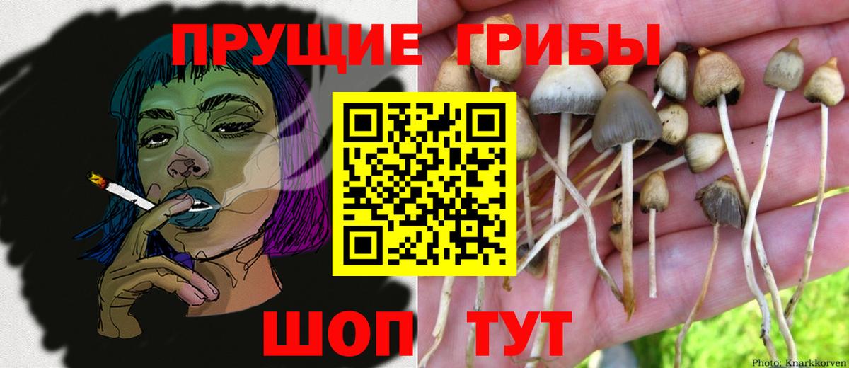 Галлюциногенные грибы Magic Shrooms Лабинск