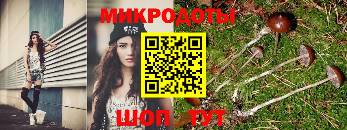 Галлюциногенные грибы Psilocybine cubensis  Вход с VPN  Лабинск  хочу наркоту  Галлюциногенные грибы Psilocybe 